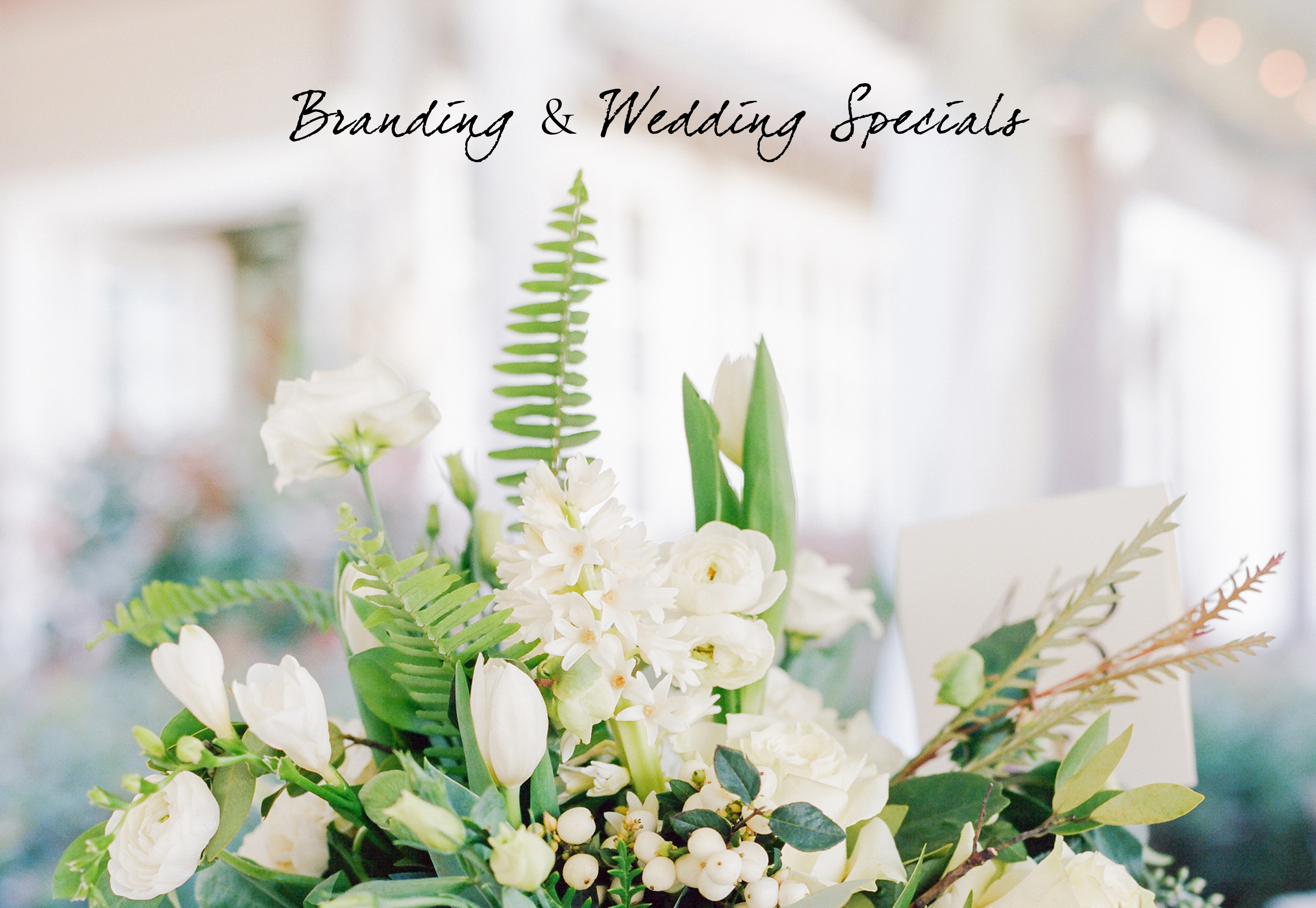 Black Friday Sale | Branding Sessions | Wedding Photography | www.msp-photography.com